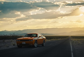 Dodge, Challenger, orange, road