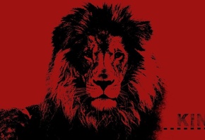 lion, animals, king, 