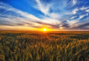 ����, ��������, ����, ������, �������, �������� �����