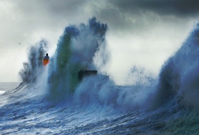 ������, �����, ����