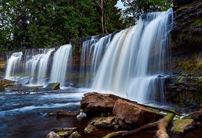 ����, �������, �����, ���, fyb