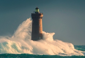 �����, �����, ����