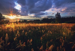 �������, ������, �����, ������, Russia