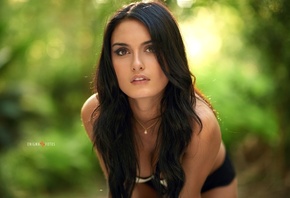 enigma fotos, �������, ������