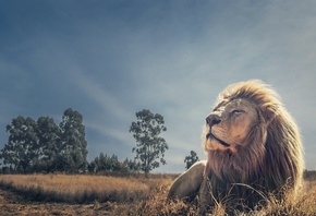 ���, ������