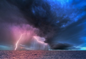 ������, ����, ����