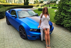 �������, ��������, �����, ����