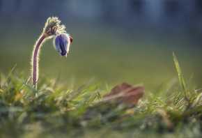 ����� �������, �������, �����, ���������, ��������, �����, ����� �������, � ...