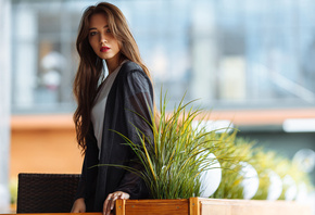 �������, ������, ������