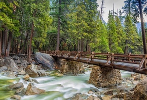 �������, ����, ����, ���