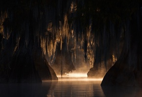 ������, ����, �����