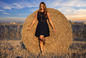 �������, ������, ������