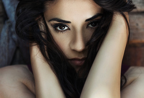 �������, ��������, ������, ������