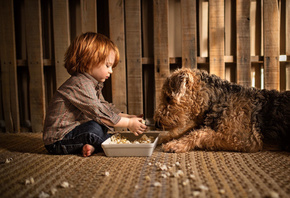 ������, �������, �����, ������, ��, ��������, ���-����