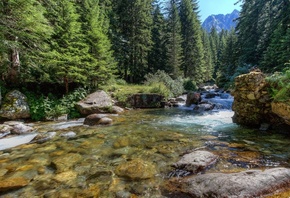 ������ ����, ���, �������