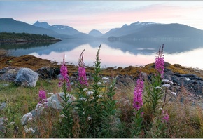 �����, �������, ����, �����, �����, ��������, ������� �������