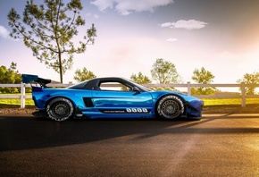 Honda NSX, ������, �������, ������