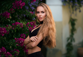 �������, ������, ���������, ������, Robert Chrenka