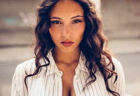 �������, ��������, ������, ������