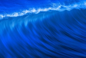 �����, ������, ����