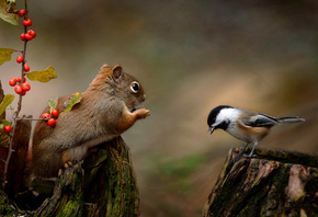 Andre Villeneuve, , , , , , , ,  ...