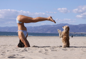 �������, ����, �����, ����, ������, ����, ������, women, beach, sand, yoga, bikini, pose, dog