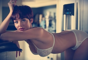 �������, ������, Jack Russell