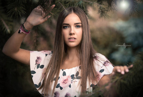 �������, ��������, ������, ������