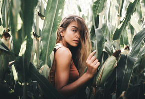 women, portrait, tanned, women outdoors, cornfield