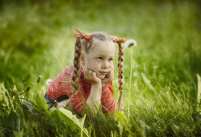 Olga Nikulochkina, ребёнок, девочка, косички, веснушки, природа, лето, трава, одуванчик