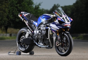 yamaha, world, superbike, r1, motogp