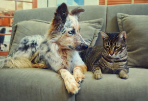 ��������, ���, �����, ������, ��, �������, �����