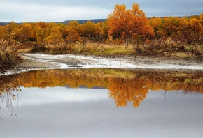 деревья, озеро, отражение, осень