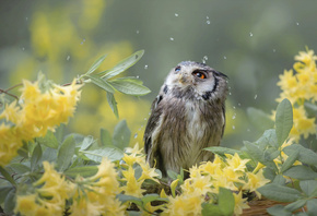 Tanja Brandt,  , , , , , , , 