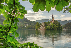 природа, пейзаж, Словения, горы, озеро, Блед, островок, дерево, ветка, лист ...