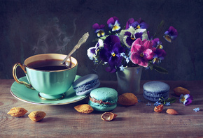 Anastasia Soloviova, чашка, кофе, пирожные, макаруны, вазочка, цветы, фиалк ...