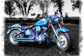 ��������, �������, �����