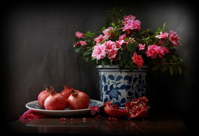 Наталья Кудрявцева, натюрморт, горшок, кашпо, цветок, азалия, фрукты, плоды ...