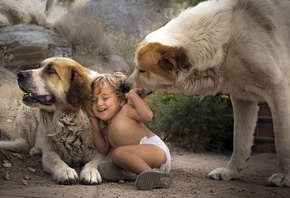 ������, �������, �����, ������, ��������, ������