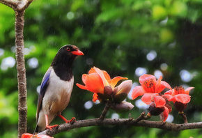 �������, �������, ����� ����, �����, ������������ ��������� ������, �����, ��������� ������, �����, �����