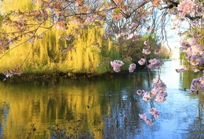 �����, �����, �������, �����, ����