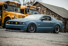 ford, mustang, muscle cars, blue cars, shelby, shelby gt