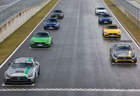 �������� ����, ���������