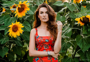 women, sunflowers, portrait, dress, women outdoors