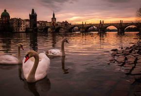 Alin Dinu, Чехия, город, Прага, река, Влтава, мост, Charles Bridge, Карлов  ...