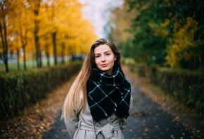 �������, �����, �������, ��������, ������� �����������, ������, �������� ����������