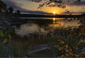 карелия, ладожское озеро, вечер, солнце, закат, дорожка, деревья, Анатолий Довыденко