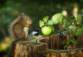 Andre Villeneuve, , , , , , , ,  ...