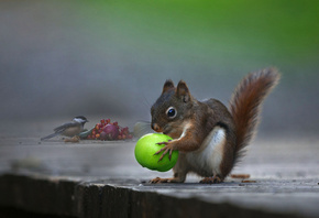 Andre Villeneuve, , , , , , , 