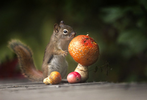 Andre Villeneuve, , , , , , 